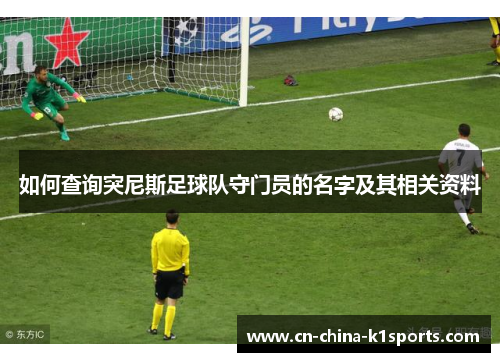 如何查询突尼斯足球队守门员的名字及其相关资料