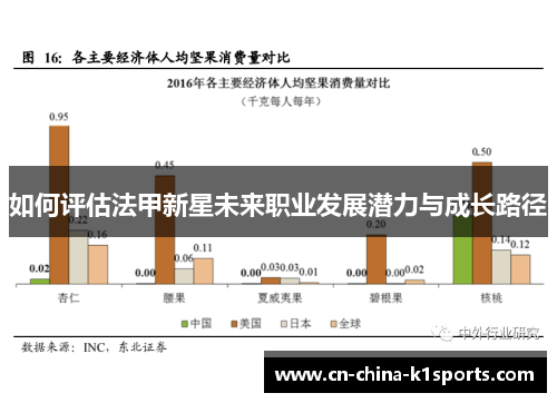 如何评估法甲新星未来职业发展潜力与成长路径